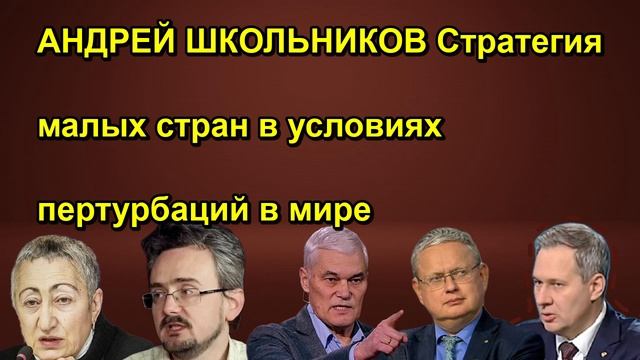 АНДРЕЙ ШКОЛЬНИКОВ Стратегия малых стран в условиях пертурбаций в мире