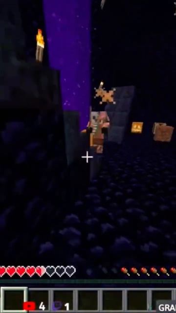 Minecraft Лучшее #1639