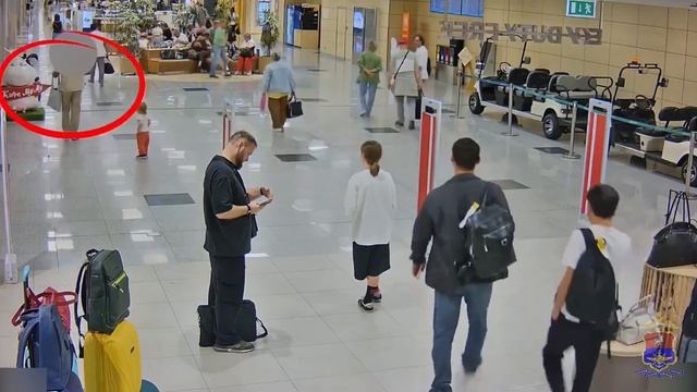 В аэропорту Домодедово задержали иностранца за систематические кражи из магазина беспошлинной торгов