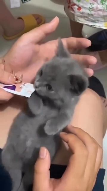 Лучший способ кого либо разбудить