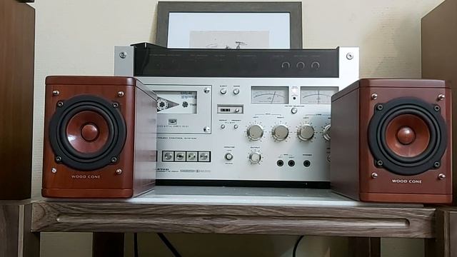 Колонки с деревянными диффузорами. Victor (JVC) SP-EXA1