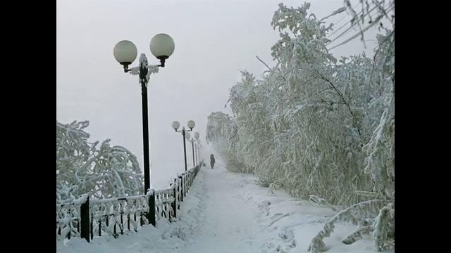 Морозы