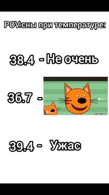 высокая температура 🥵🥵🥵 #три кота #мемы #мультик #скибиди