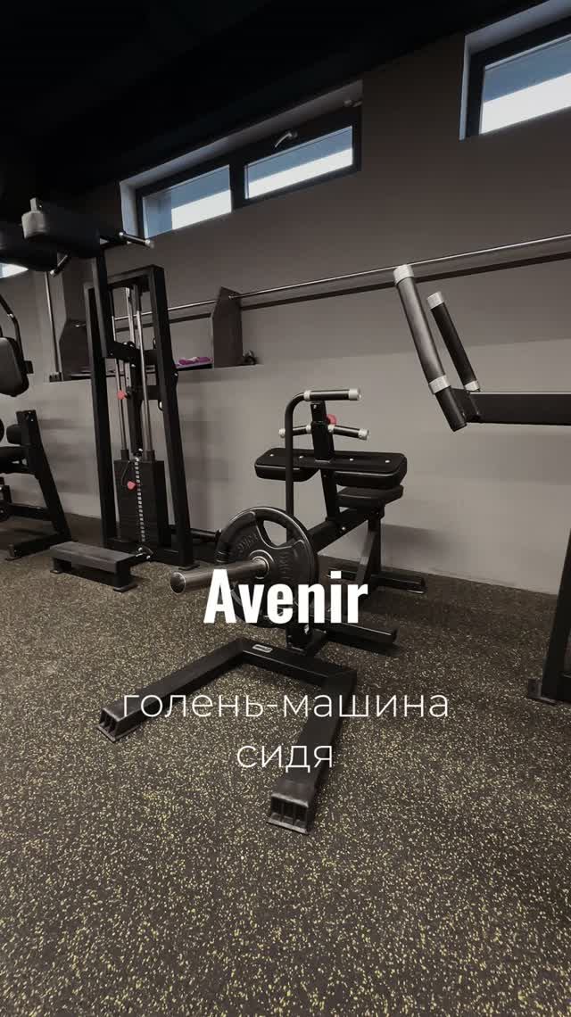 Голень сидя AV309-80