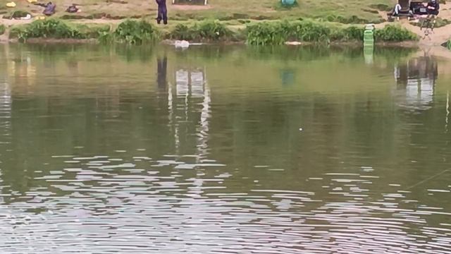 1000163741.mp4