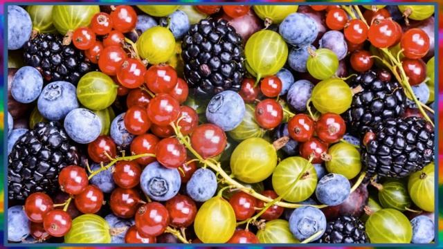 Где найти качественные витамины?