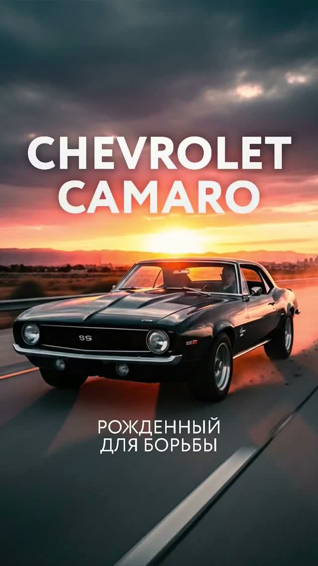 Chevrolet Camaro- рожденный для борьбы | Черкашин Олег #chevrolet #camaro