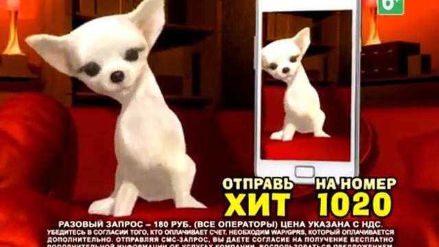 SMS хит на 1020 2014