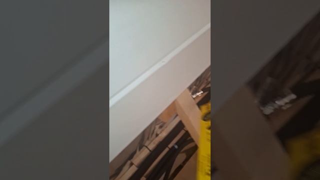 1000067965.mp4 (Собака слушает о установке стоек в северную нишу на 2-ом этаже в доме А-фрейм)