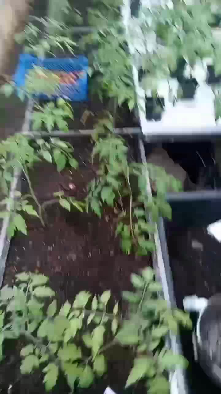Глаза боятся а руки делают!!!