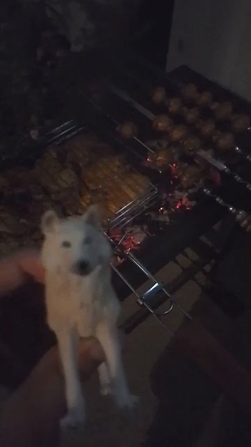 Шуша и шашлыки