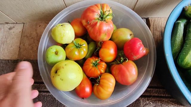 Покупки. Новые вилы. Замариновала курицу.
