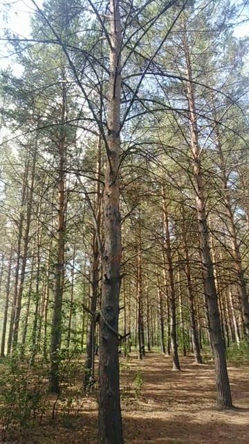Природа. Сибирь
