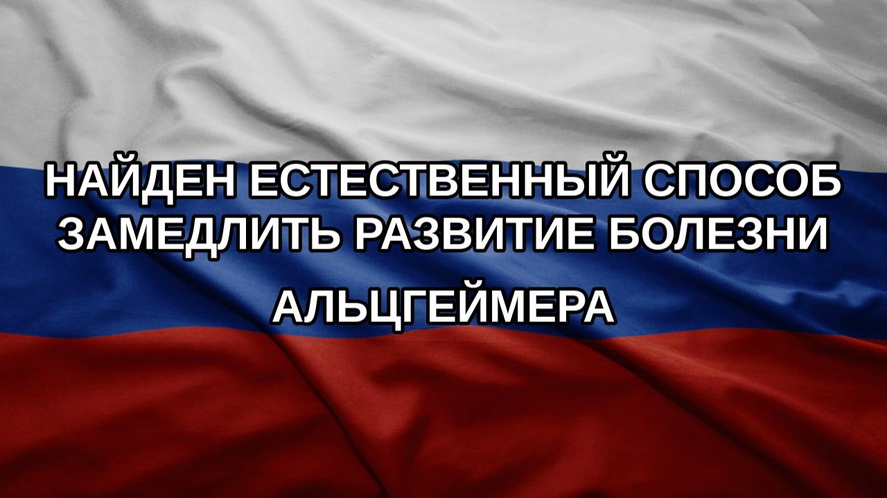 Найден естественный способ замедлить развитие болезни Альцгеймера