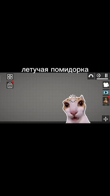 ЛЕТАЮЩИЙ ПОМИДОР
