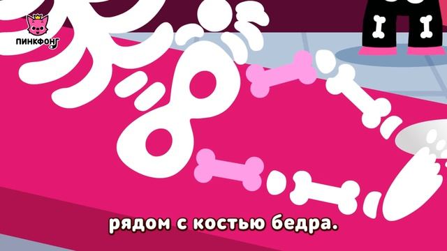 Кости | Песни про Части Тела | Пинкфонг Песни для Детей
