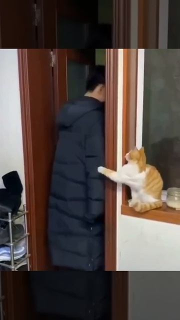 Вахтёрим помаленьку