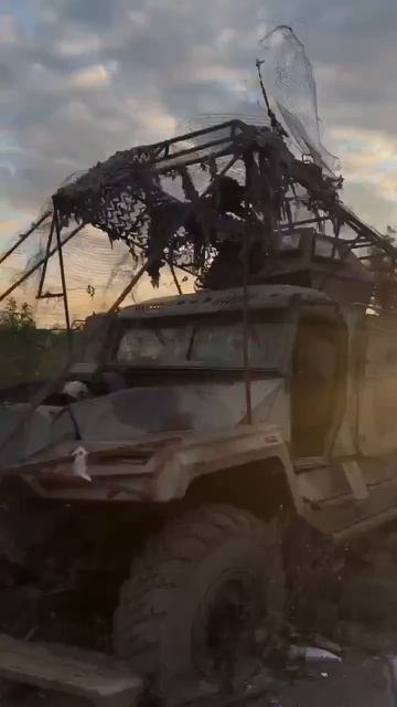 Доброе утро Тыл и Фронт 🌤️                                 В трудный час встанем вместе как один...