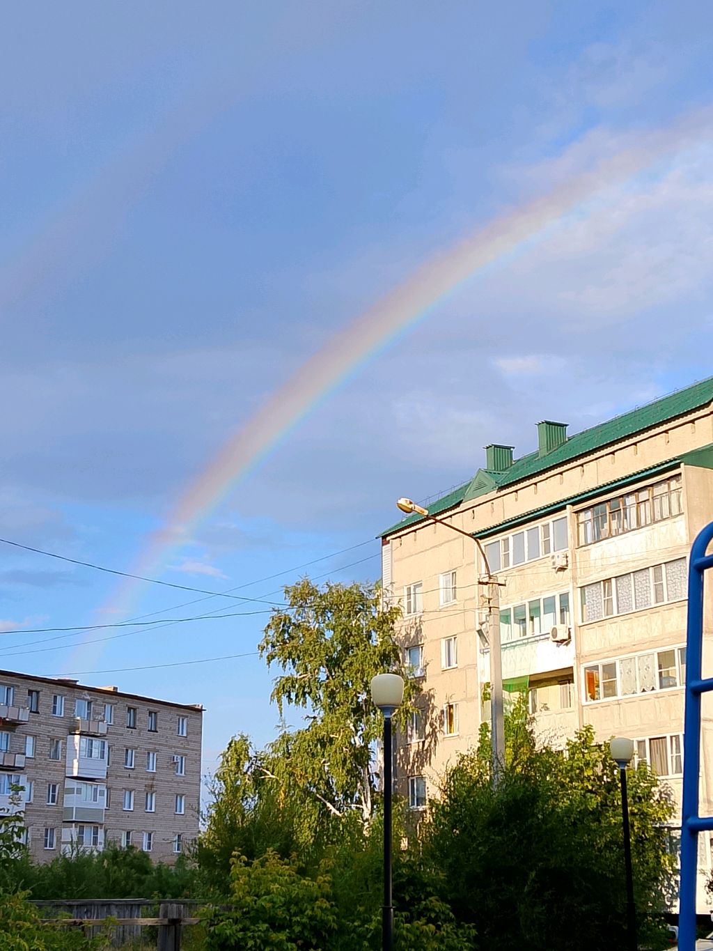 Гуляем втроём( ждём третью)