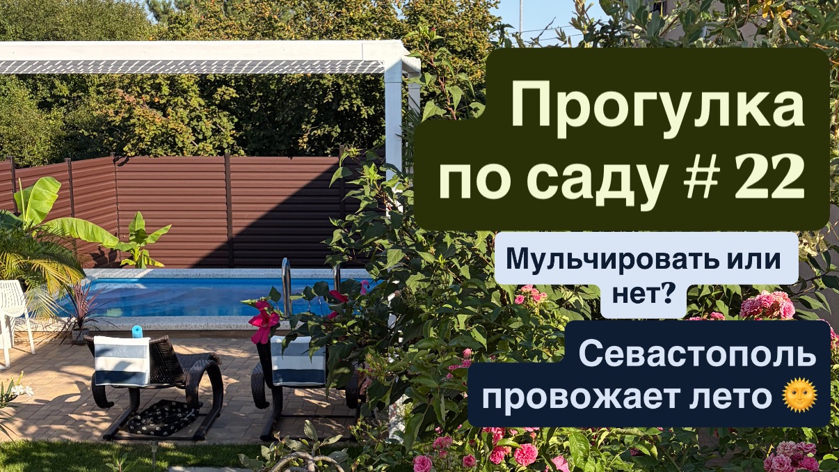 Прогулка по саду # 22 Сад в Севастополе провожает лето. Мульчирование корой, отсыпкой