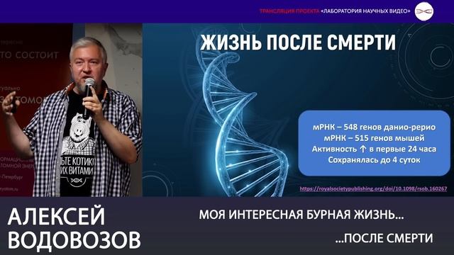 Моя интересная бурная жизнь... ...после смерти. Алексей Водовозов
