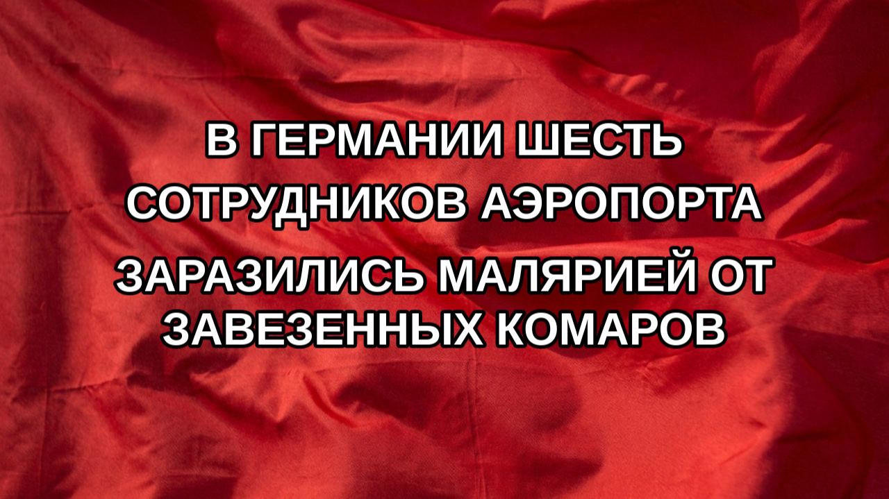 В Германии шесть сотрудников аэропорта заразились малярией от завезенных комаров