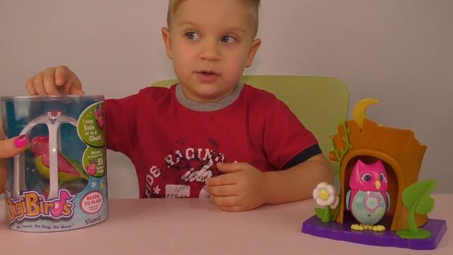  DigiBirds ПТИЧКИ поют разные мелодии хором видео для детей DigiBirds  Friends DigiOwl Singing