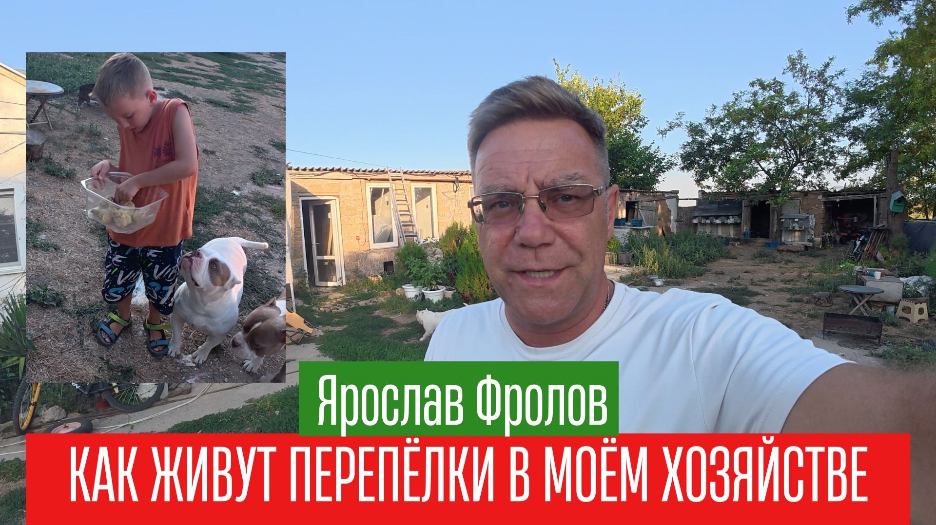 Ошибки инкубирования и содержание перепелок в моем Трушном хозяйстве