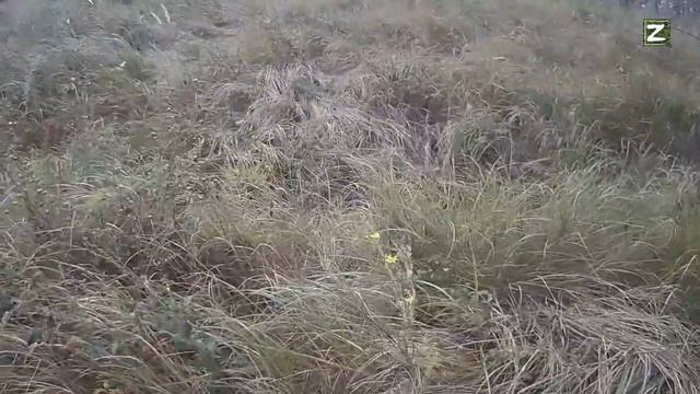 СВО 21.08.2023 штурм позиций ВСУ