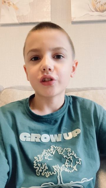 Один из моих видеостал ложью