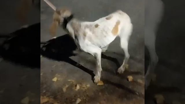 🆘🆘🆘РАЗВЕ ОНИ НЕ ЗАСЛУЖИВАЮТ СЕМЬЮ 💥💥💥.                          ‼️‼️‼️ИХ ЗАМЕТИЛИ‼️‼️‼️.