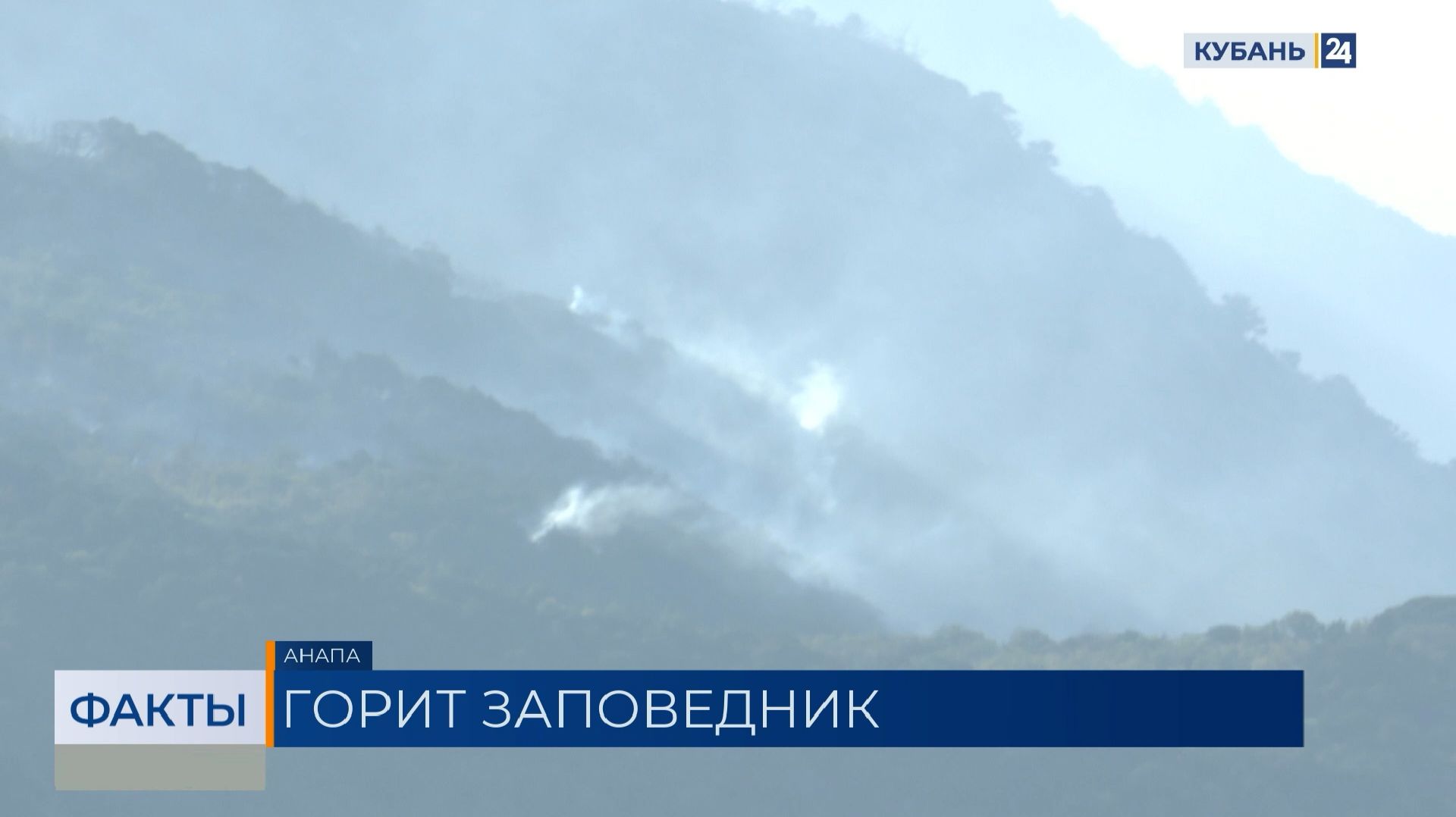 Почти 200 человек задействовали в тушении пожара в заповеднике Утриш под Анапой