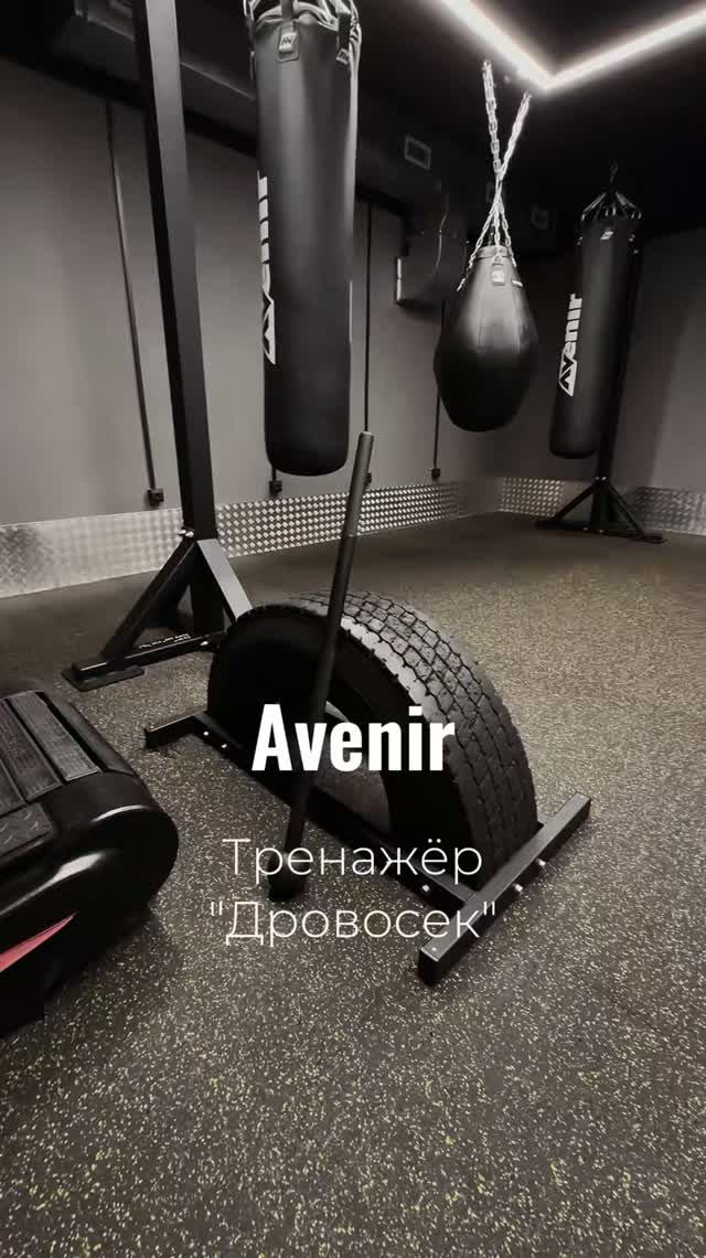 Тренажер Дровосек на платформе AV893/80