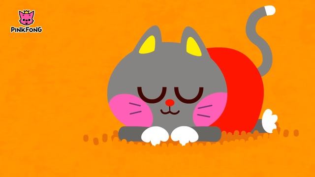 Кот | Кот кот кот | Супер фоника | Песни PINKFONG для детей