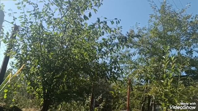 На дачу стало страшно ездить.. работа не заканчивается..