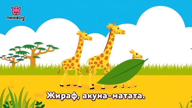 Акуна-Матата | Песни про Животных | Пинкфонг Песни для Детей