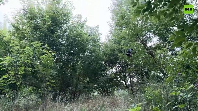 Расчёты ударных БПЛА «Севера» уничтожили пункты управления БПЛА ВСУ в Сумской области