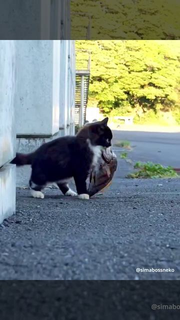 VID_20260825_203529_073.mp4