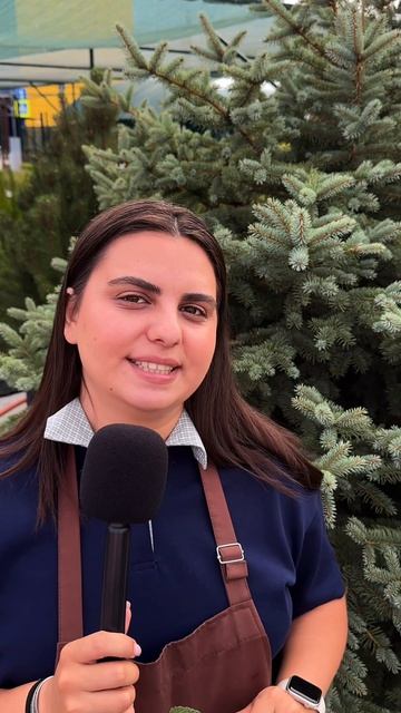 Запомни три акцента 🧑🌾