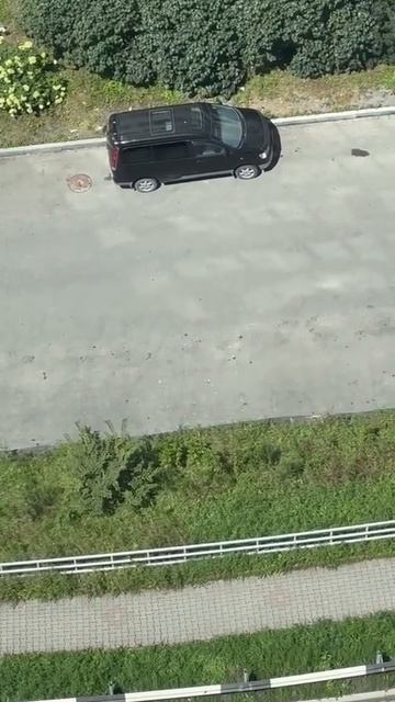 Во Владивостоке школьники забили голубя и сбросили его с крыши