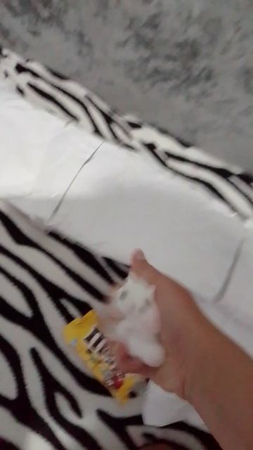 1000000146.mp4