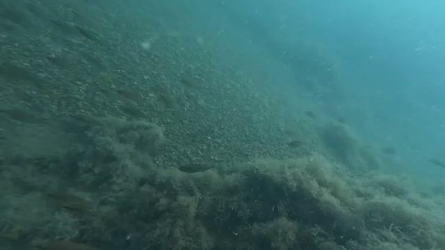 1000472400.mp4