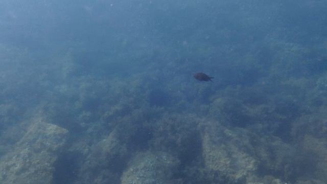 Анапа 26.08.2026 про Море
