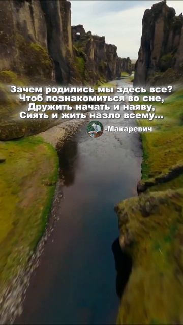 тelega/ Makarevich_f
