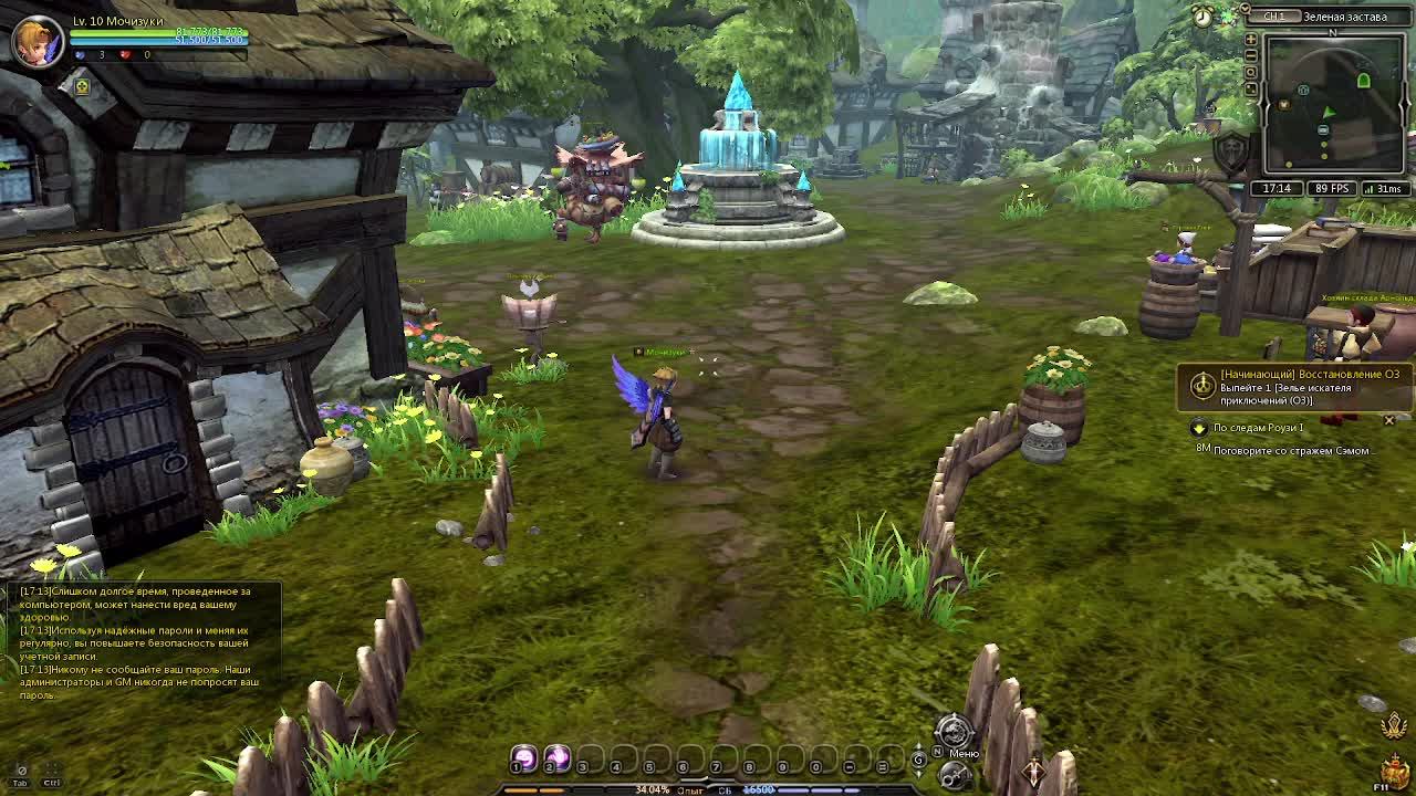 Dragon Nest N
