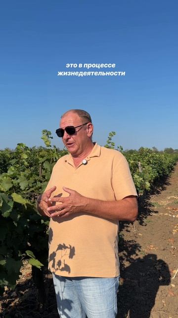 Обработка СЗР вблизи санитарной зоны ЮгАгроХим