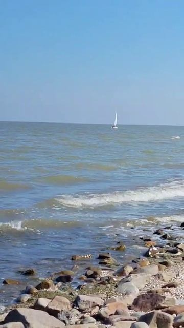 Белеет парус одинокий