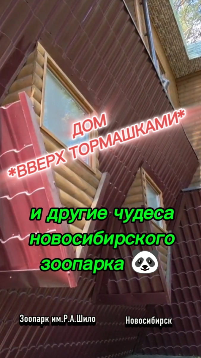 Дом вверх тормашками и другие чудеса новосибирского зоопарка