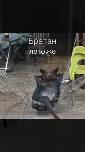 ☀️ Ловим последние деньки лета. У вас оно тоже пролетело так, что даже не успели заметить?