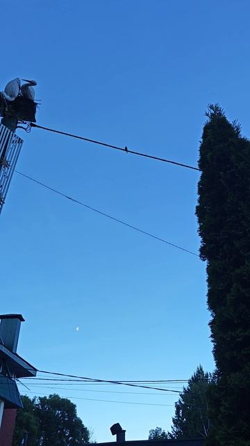 VID_20260607_044125